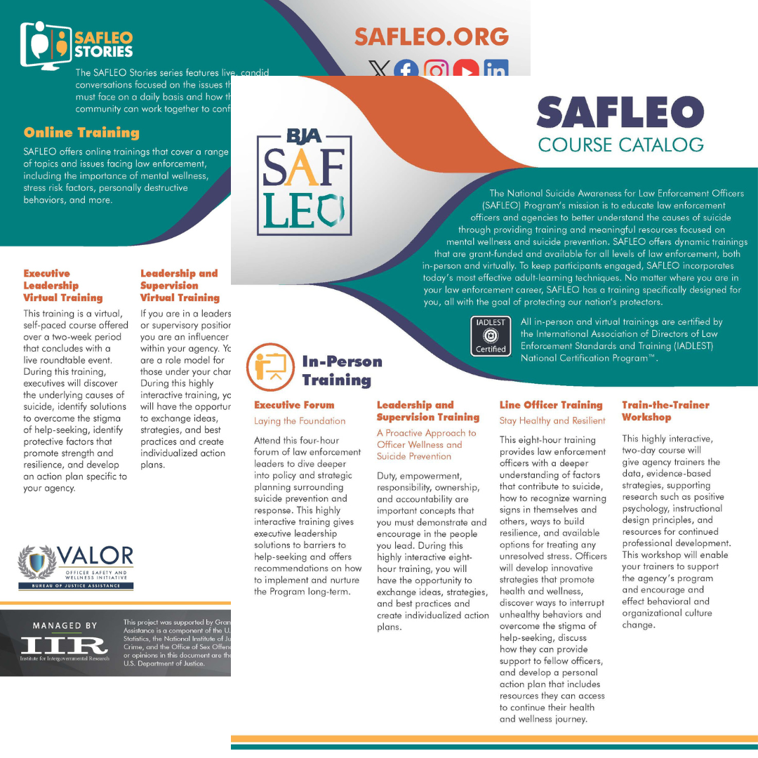 SAFLEO Course Catalog